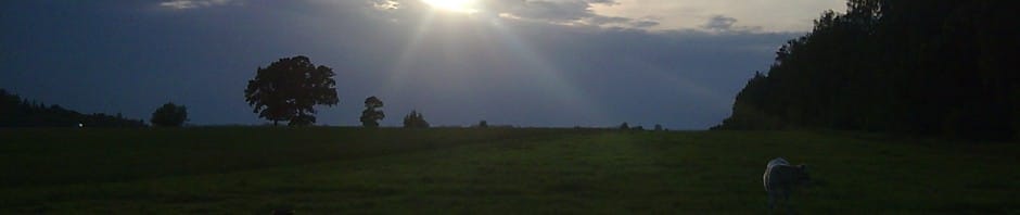Mano pagoniškojo kelio pradžia