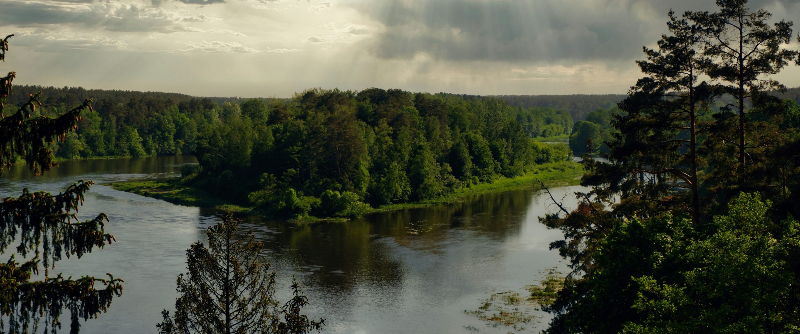 donatas-kartanovicius-Ch7Nh2xnzg0-unsplash