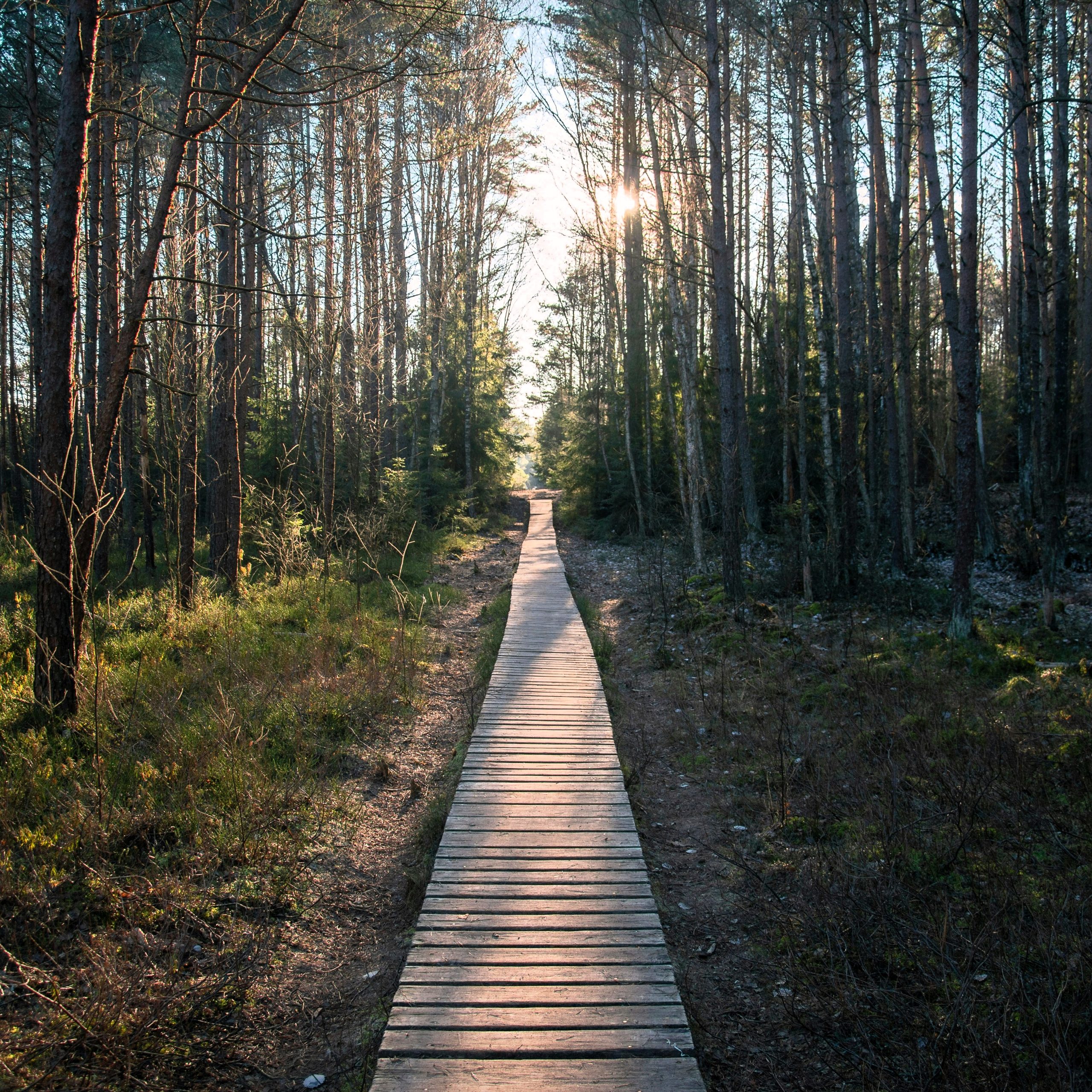 migle-vasiliauskaite-opXP7cPXNZc-unsplash