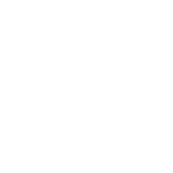 woodentravel logo white
